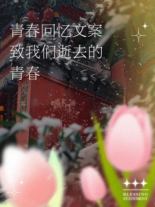 致我们逝去的青春结局_1
