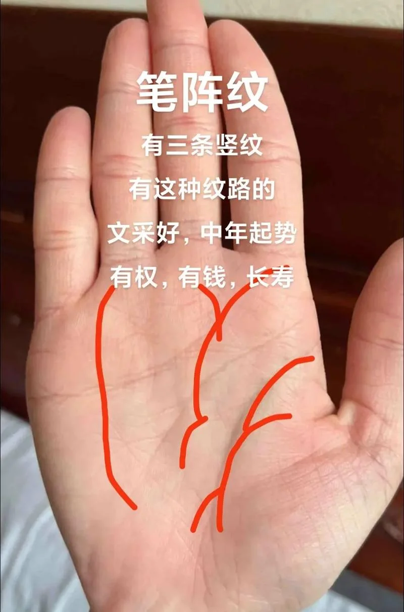 学霸的手相是什么样的_2