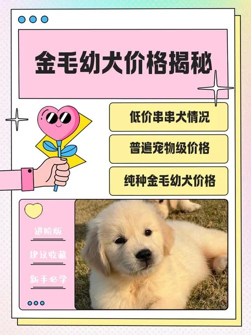狗做绝育手术多少钱_2