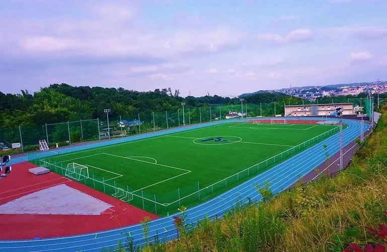 日本帝京大学真实情况_2