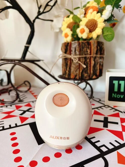 衣服除毛器哪个牌子好_1