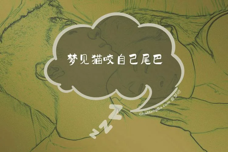 梦见猫咪咬我什么预兆_1