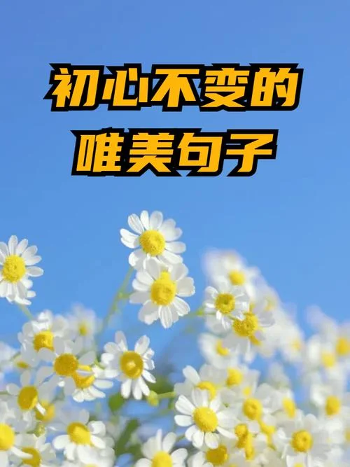 唯美句子_1
