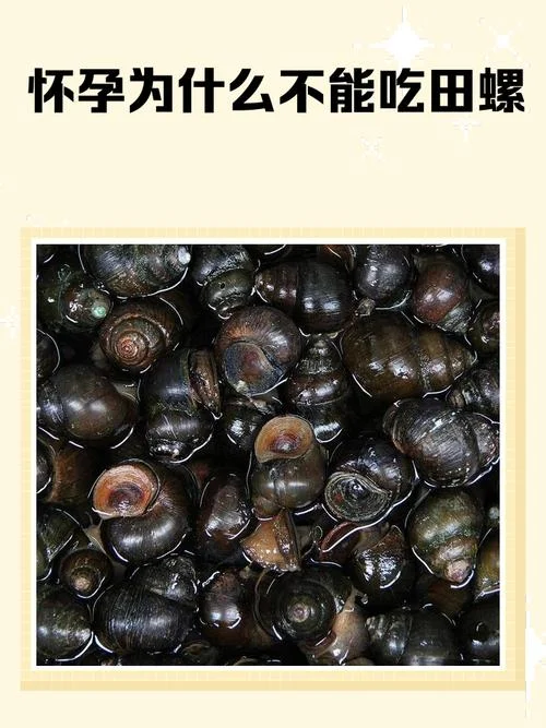 田螺几月份繁殖_1