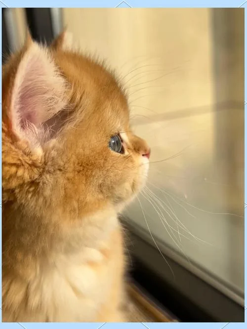 孤独_2