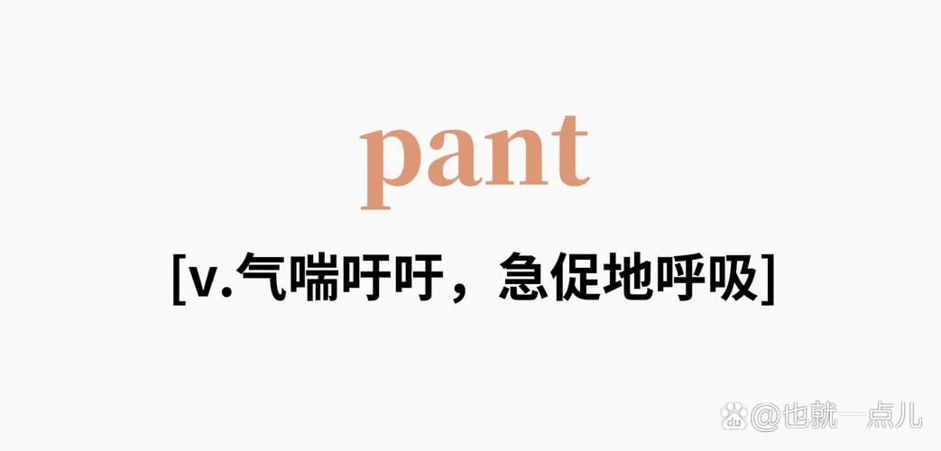 was项目启动慢-项目启动延迟