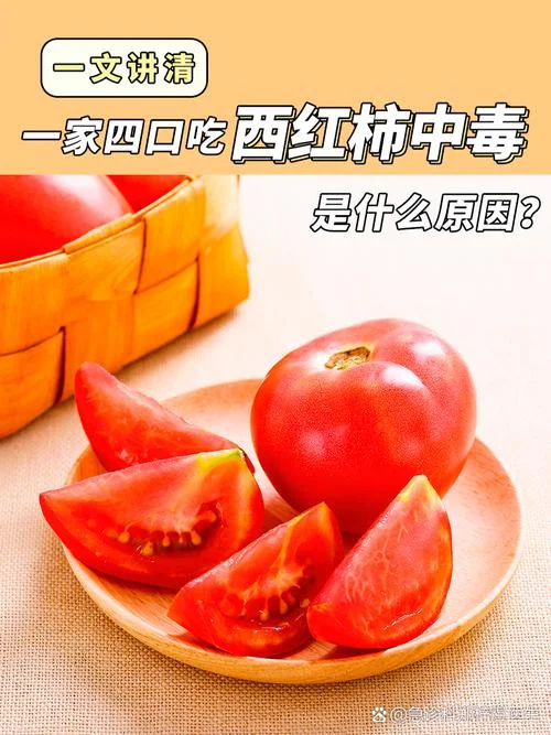 梦到吃西红柿预示着什么_2
