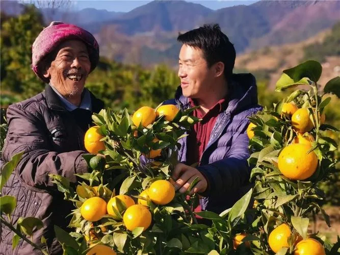 梦见种地是什么兆头_1