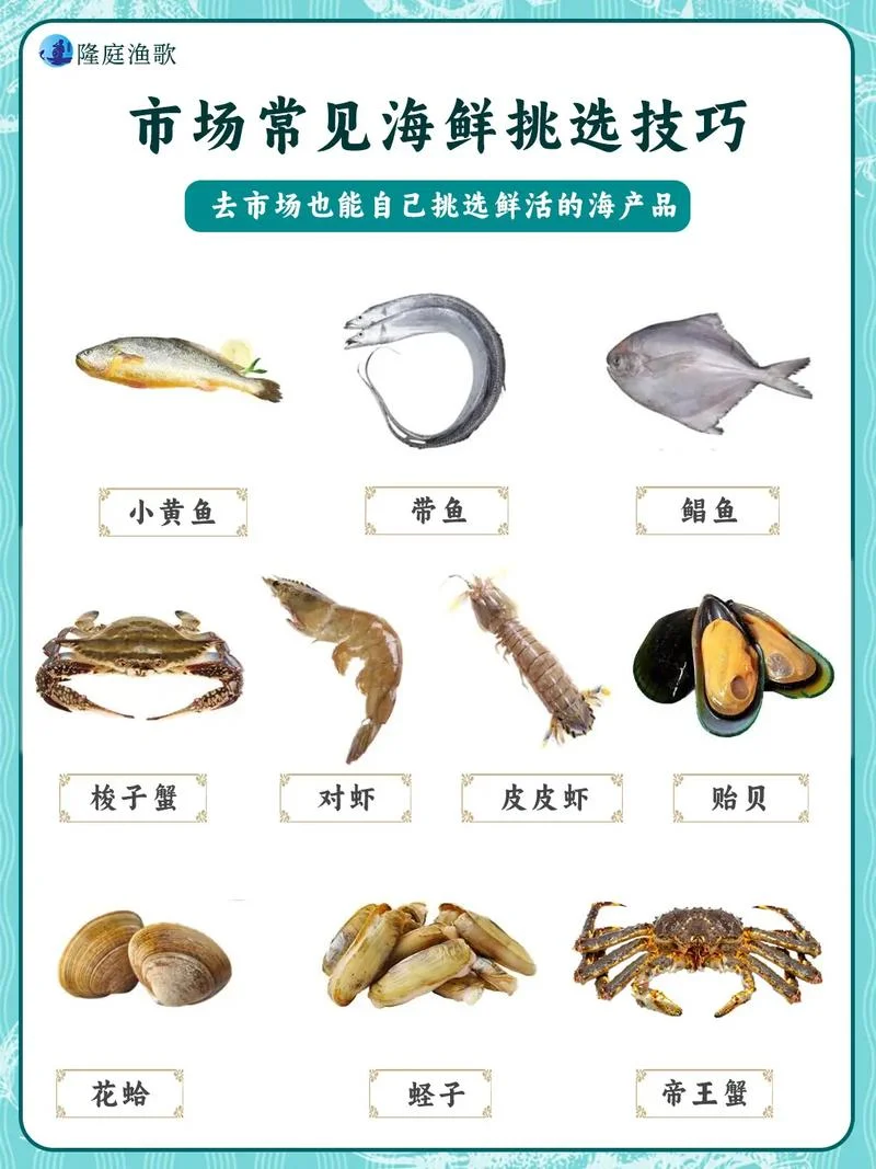 舟山海鲜品种介绍-舟山海鲜品种介绍