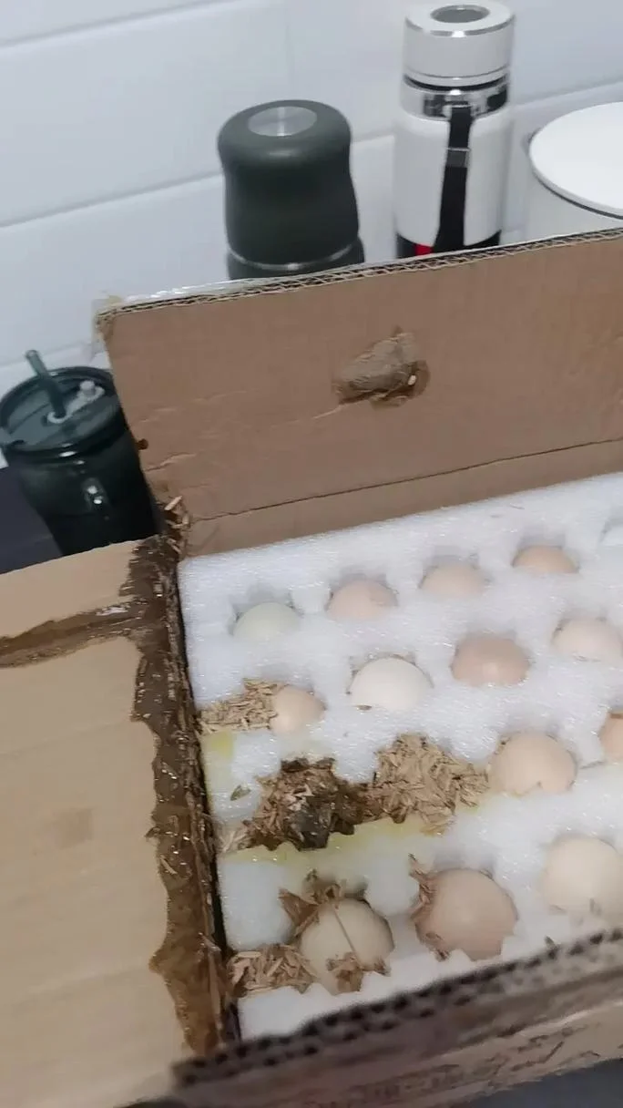 梦到鸡蛋破了粘到脚上_1
