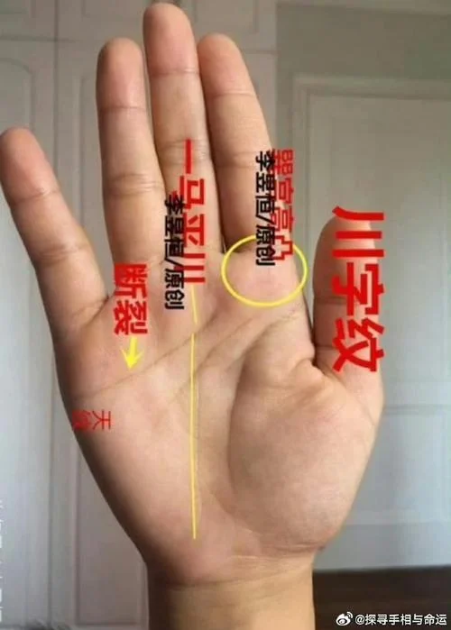手相可信度高吗_2