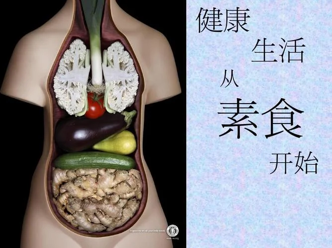 素食介绍_1