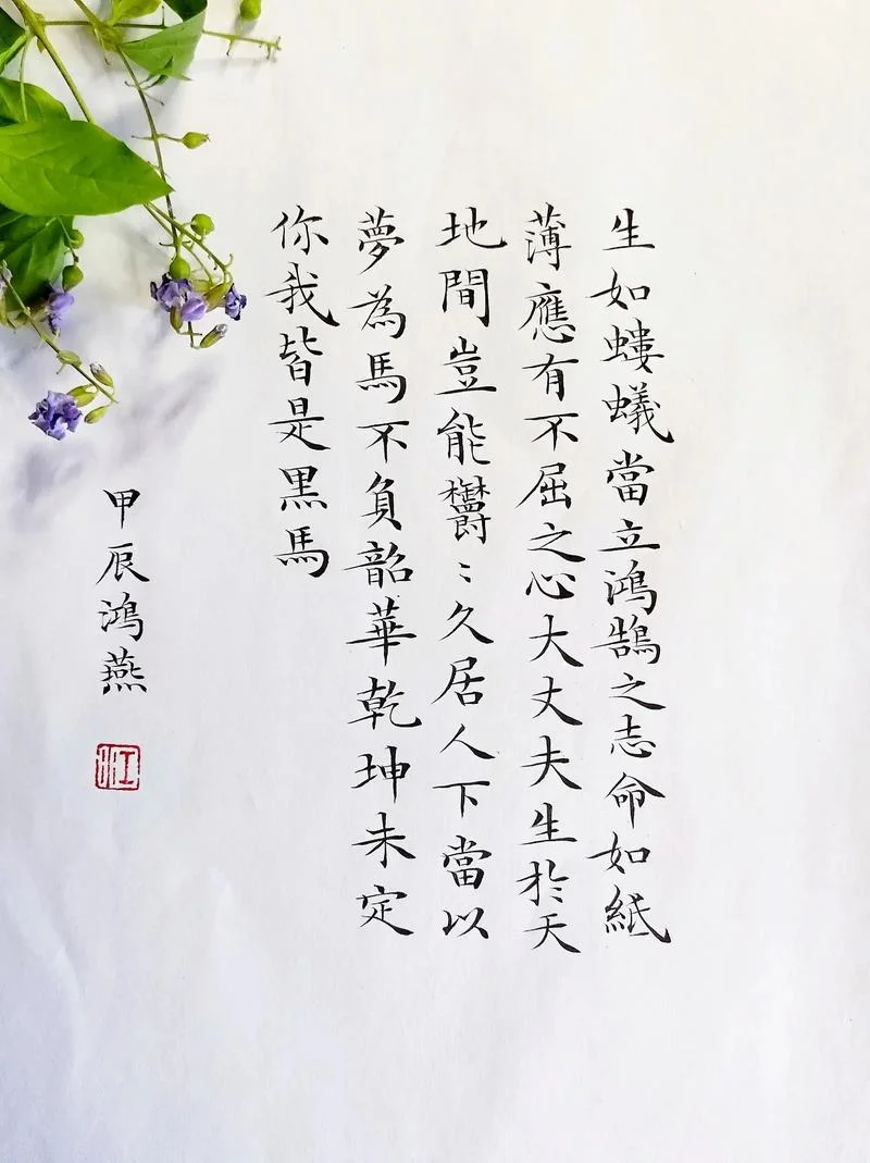 不枉此生下一句是什么_1