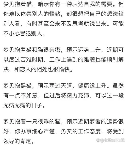 女人梦见很多猫好不好_1