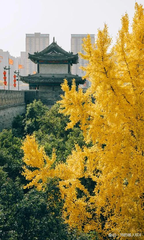 西安周边游二日游报团_1