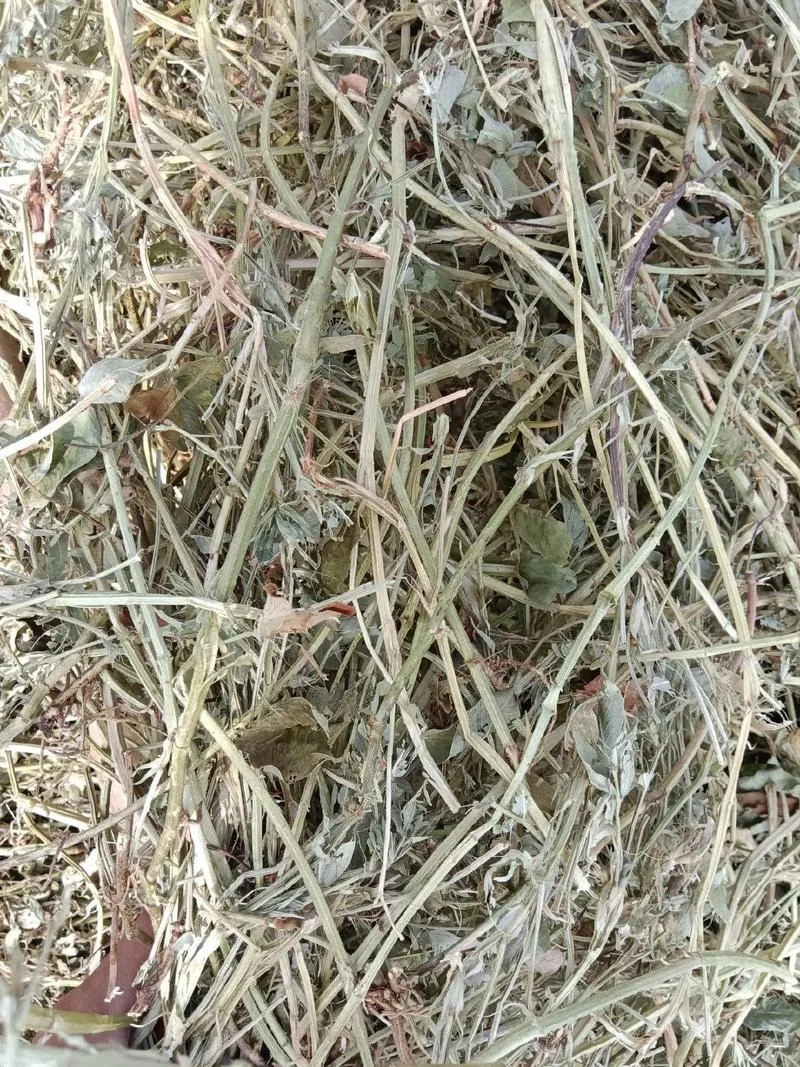 现在花生秧多少钱一吨_1