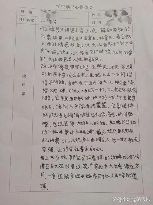红楼梦读后感50字儿童_1