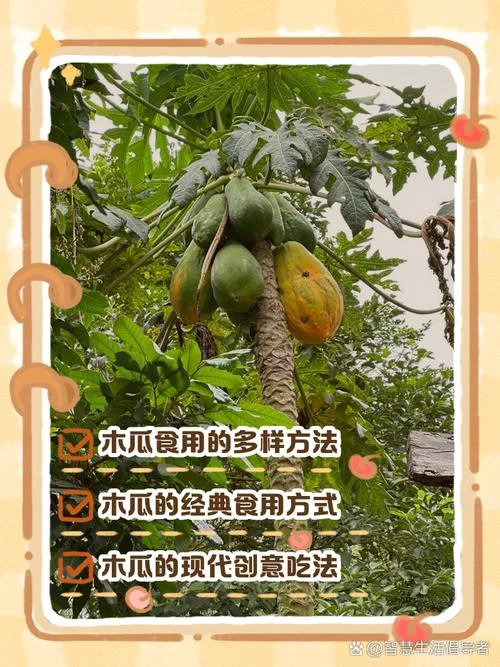 木瓜怎么做能减肥-木瓜减肥怎么做