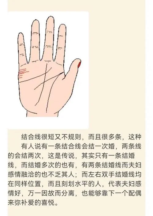 手相哪个手为准_1