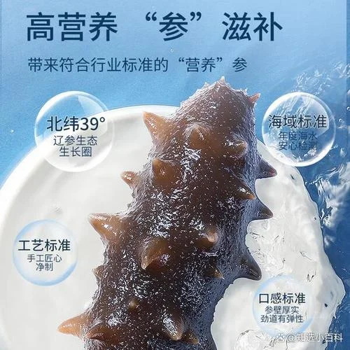 知名品牌海参-知名品牌海参