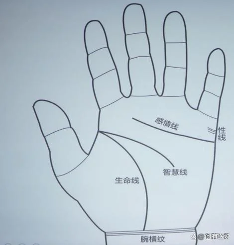 手相算命图解大全生命线_1