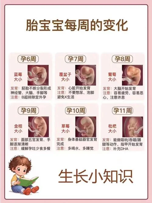 怀孕36周检查什么项目_1