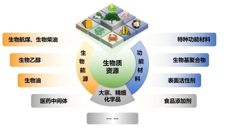 新能源生物质能介绍-