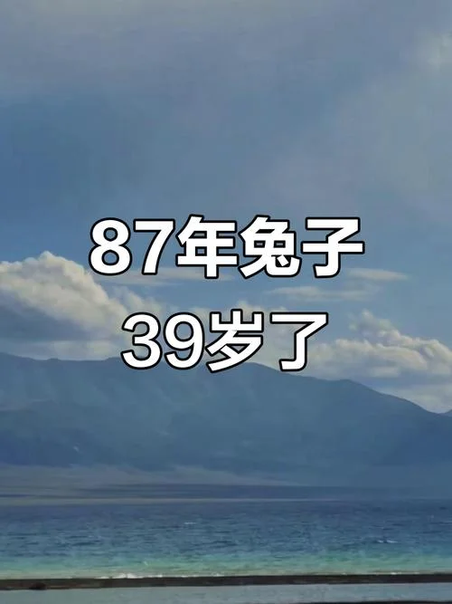1987年的兔子几岁了_2