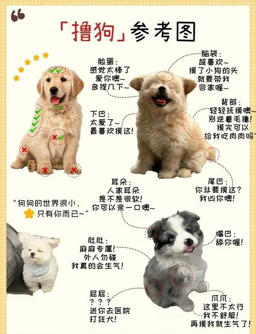 梦见狗会说话什么意思_1