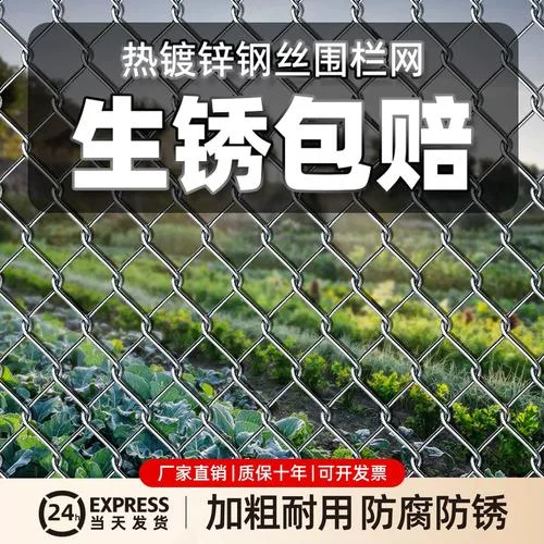 镀锌钢丝网多少钱_2