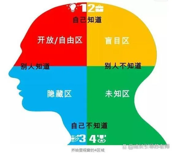 什么是多重人格-什么是多重人格