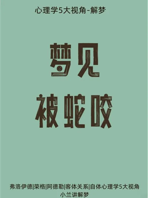 女人梦见被蛇咬不松口_2