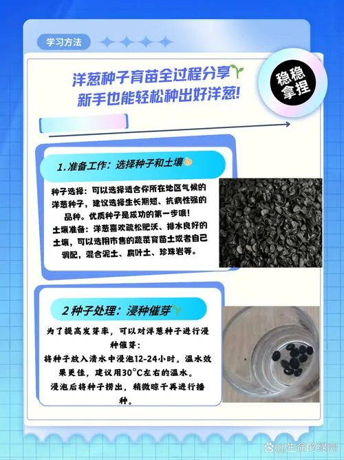 什么是种子扩大培养-什么是种子扩大培养