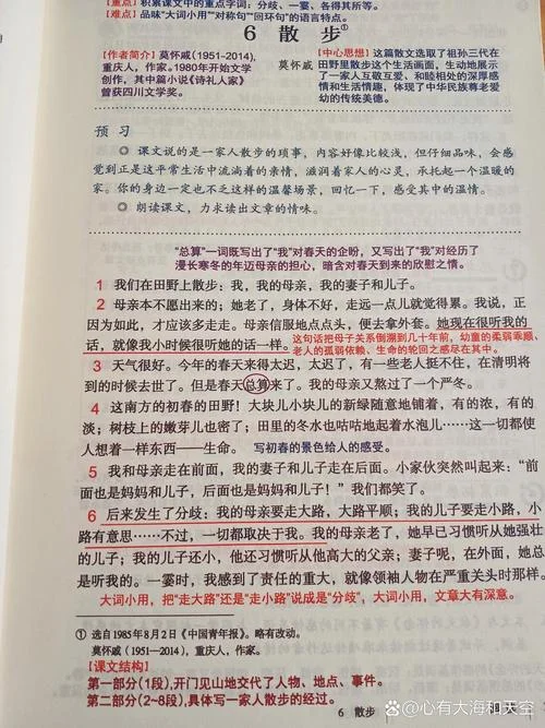 美学散步读后感600字_1