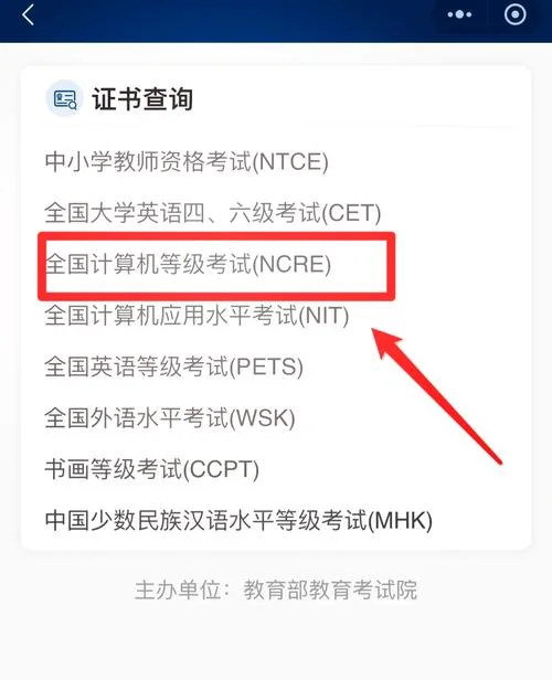 中国儿童网证书查询_1