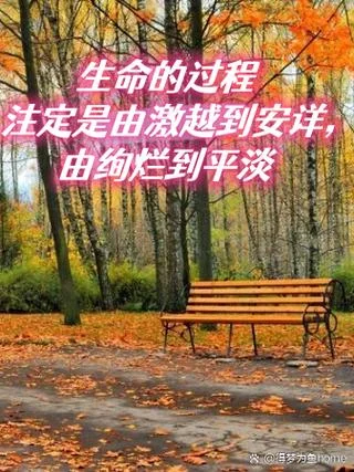 落叶人生感悟视频-落叶人生感悟视频