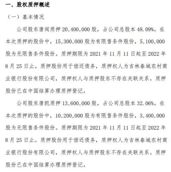 股东负债计算公式_2