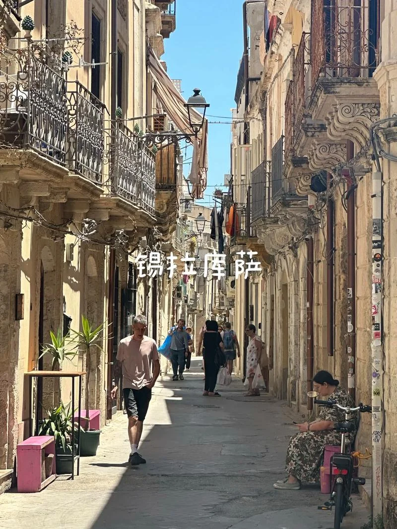 西西里的美丽传说感悟-西西里传说感悟