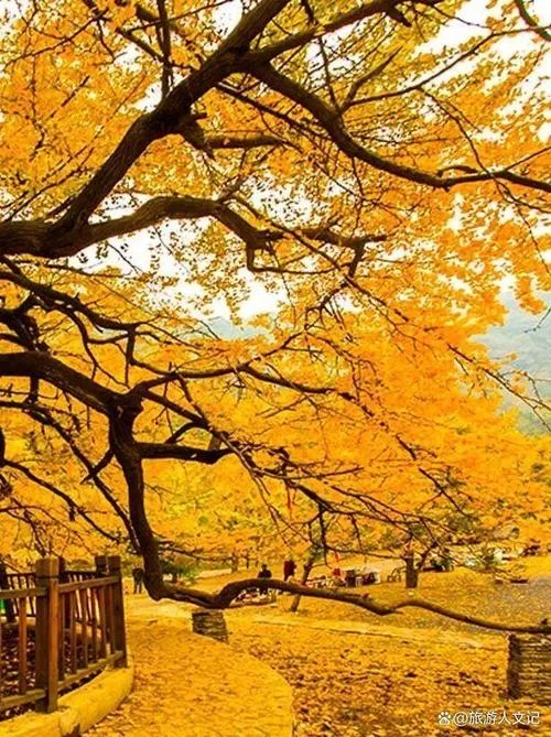 10月份适合国内的旅游景点_1