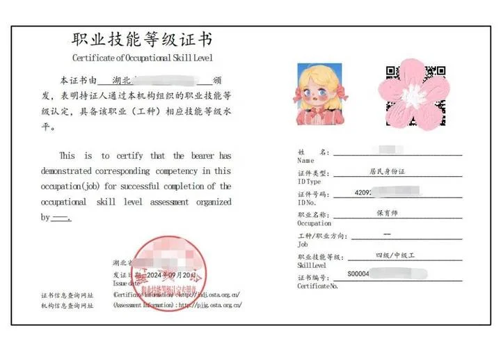 国家职业技能资格证书全国联网查询_2
