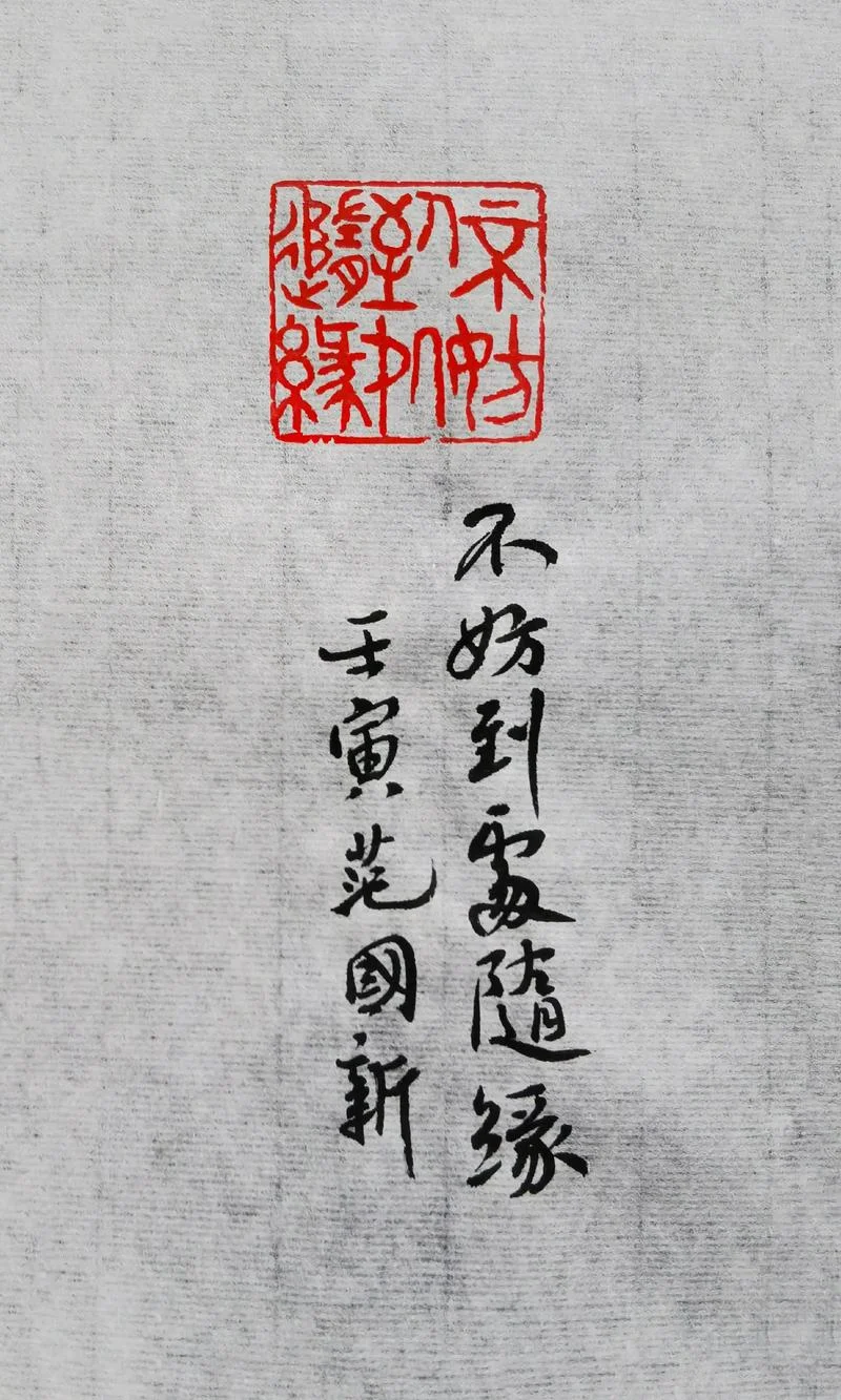 随缘说说赞apk_2