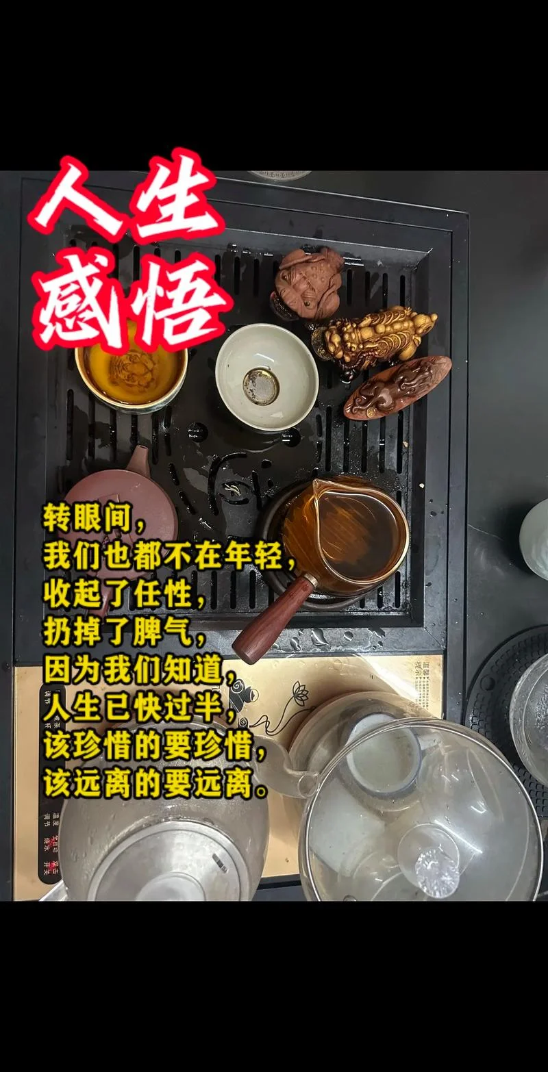 淡对人生的感悟_2