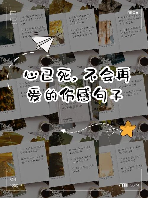 伤过的心还可以爱谁下一句_1