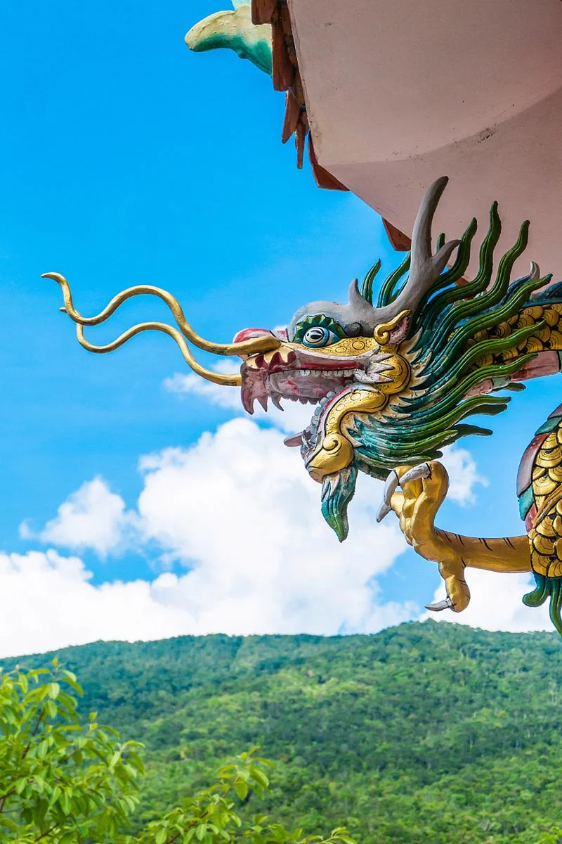 梦见三龙一凤_2