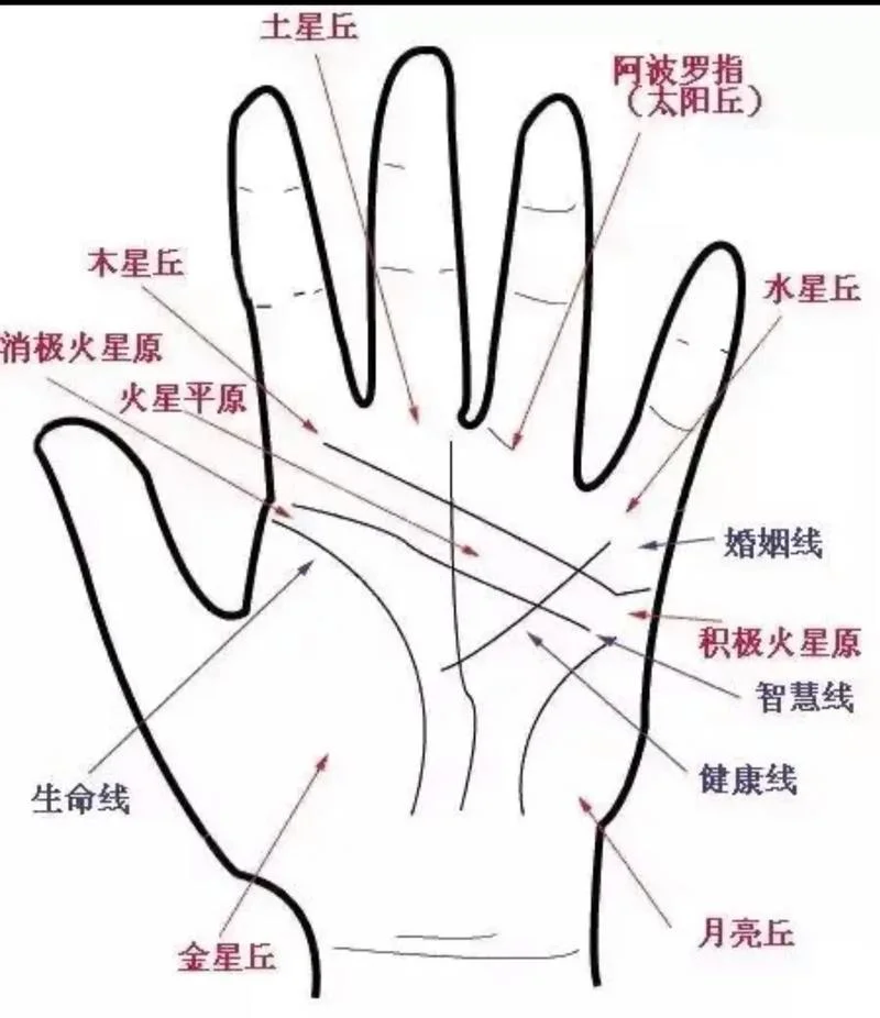 手相面相密码免费-免费手相面相密码