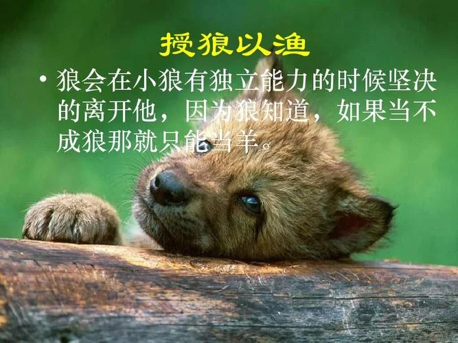 狼图腾的作者简介-狼图腾作者介绍