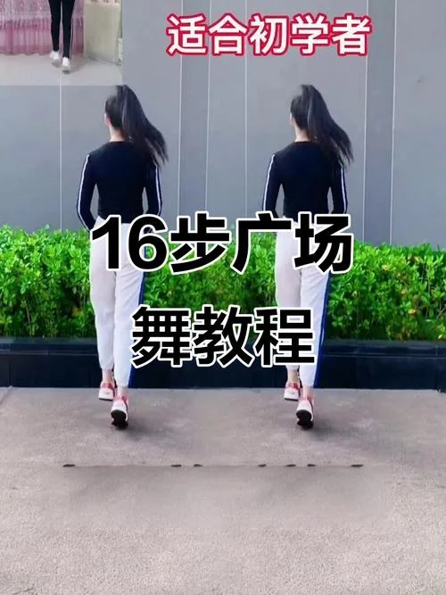 怎么学广场舞最好学_2
