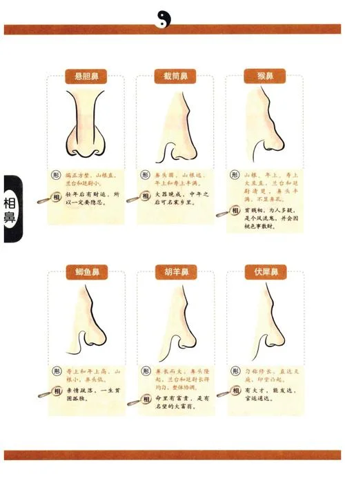 面相学鼻子代表什么-面相学：鼻子代表什么