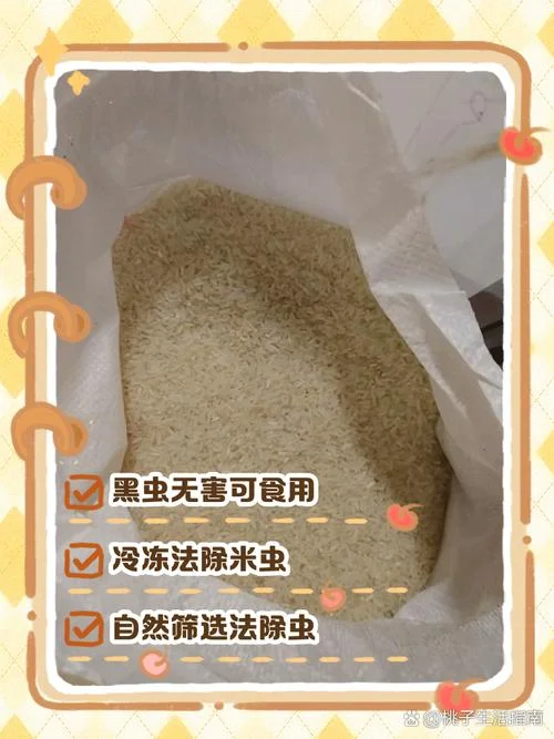 梦到米里面有好多虫子是什么意思_2