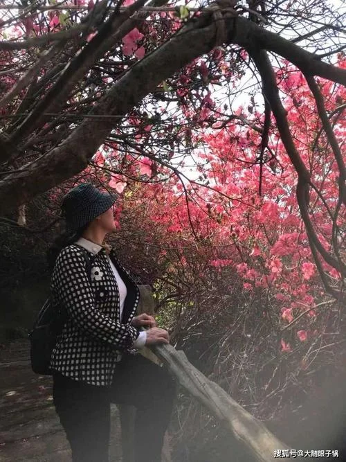 曾都区第一中学胡红_2
